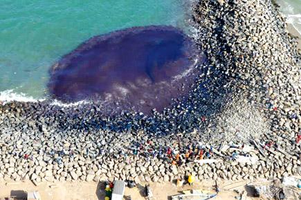 Marine experts: Will take months to assess Chennai oil spill damage