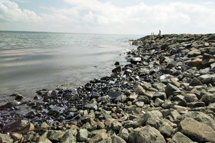 13,000-year-old footprints found off Canadian coast