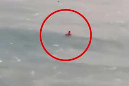 Watch Video: Indian sailor's miraculous rescue in Sharjah