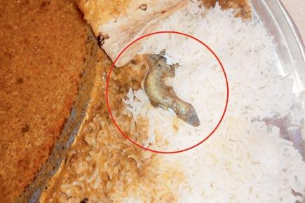 Mumbai: 130 students served curry with lizard at Chembur hostel 