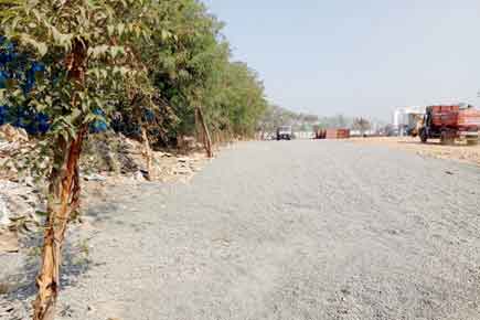 Save Aarey: MMRDA wants yet more land in Aarey Colony