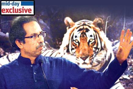 Exclusive Uddhav Thackeray Interview: 'Doubtful this government will complete its term'