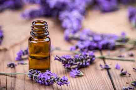 Health: 5 essential oils for a healthy skin