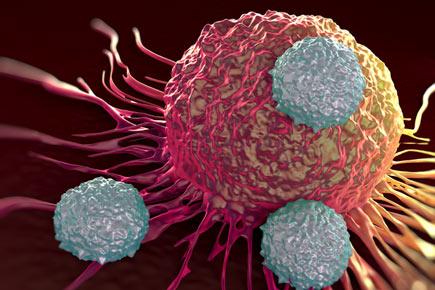 Health: Drug that 'melts' cancer cells approved for human use