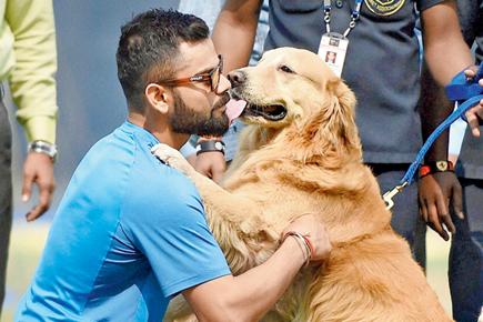 King of Indian cricket meets Prince of Pune's security