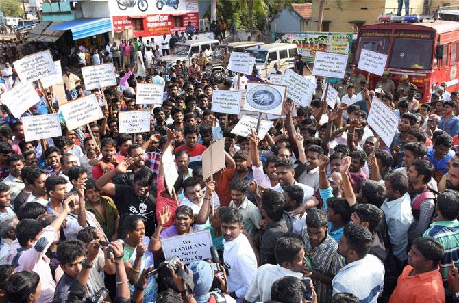 Jallikattu protests gain strength in Tamil Nadu