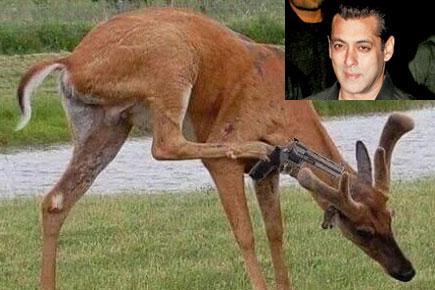 Salman Khan acquitted: Twitterati say blackbucks committed suicide