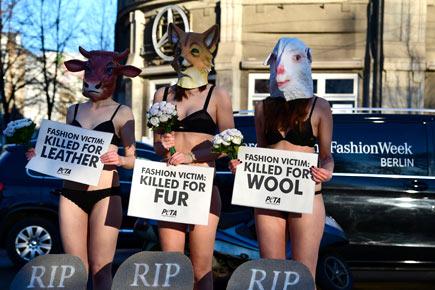 PETA activists wearing bikinis, animal masks, protest at Berlin Fashion Week