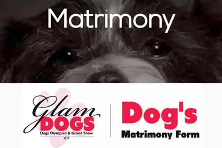 Believe it or not! There's now a matrimonial site for dogs in Mumbai