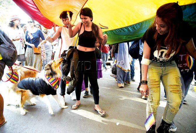 Participants take part in a gay pride parade promoting gay, lesbian, bisexual and transgender rights at August Kranti Maidan on Saturday. Pic/Shadabâu00c2u0080u00c2u0088Khan
