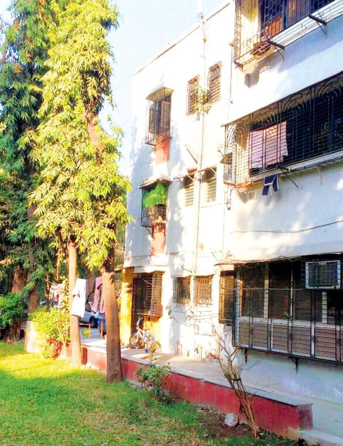 The three-month-old puppy died after it was allegedly flung off the terrace of this building in Chembur