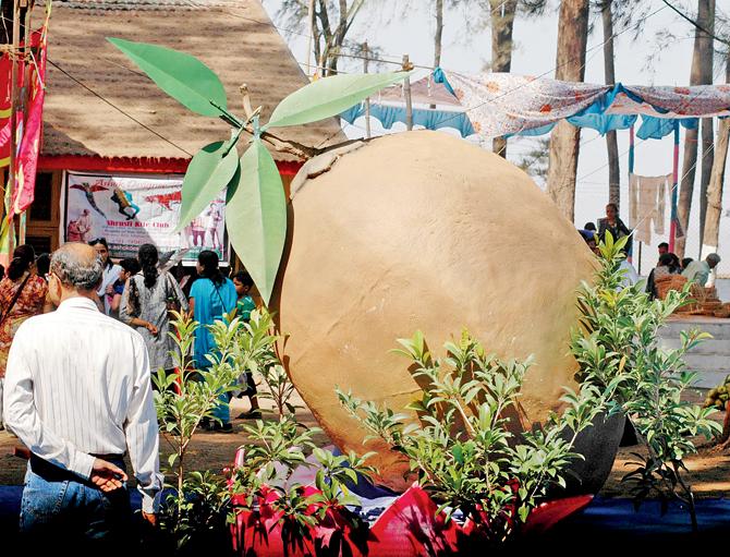 A chikoo sculpture created for an earlier edition of the fest