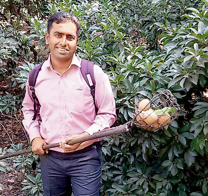 A guest plucks chikoo using the traditional bedni instrument