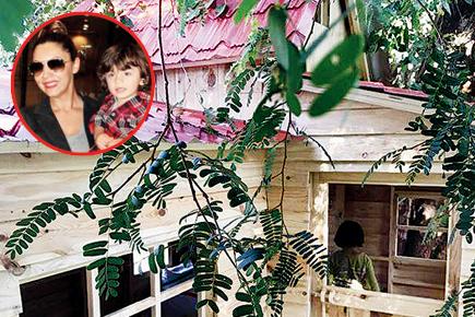 Shah Rukh Khan's tot AbRam has a brand new tree house