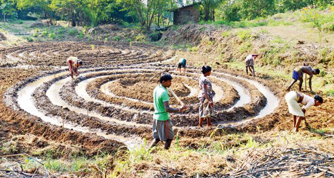 Vrindavan Farm, which supplies fresh local produce to several city restaurants