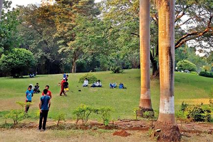  Spend a day with trees and flowers in Sagar Upvan at Colaba