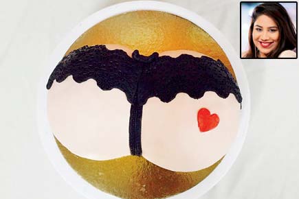 Mumbai baker to showcase her 'dirty' cakes at LGBTQ Mela