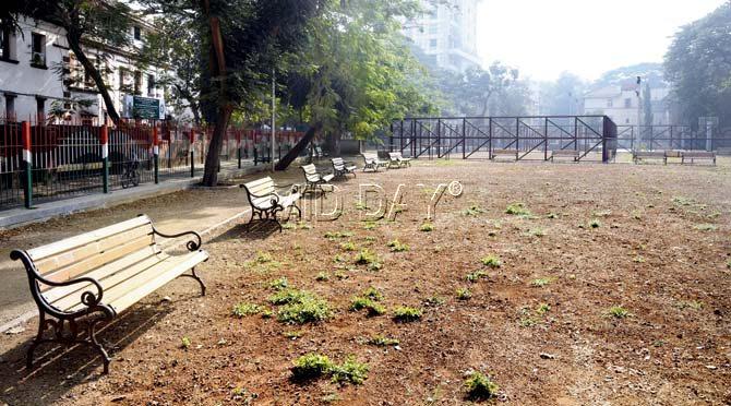 BMC seems to have forgotten to do the horticulture work for the rocks as well as the ground; installation of pyau (drinking water fountain) and CCTV is lying unfinished.  Pic/Shadab Khan