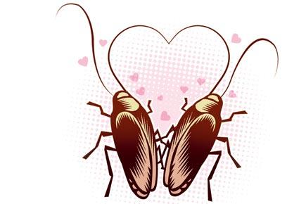 This Valentine's Day, say it with cockroaches