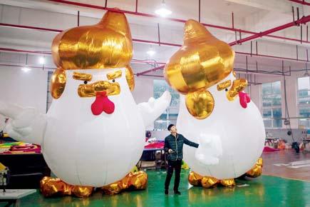 Chinese factory hatches giant inflatable chickens that resemble Donald Trump