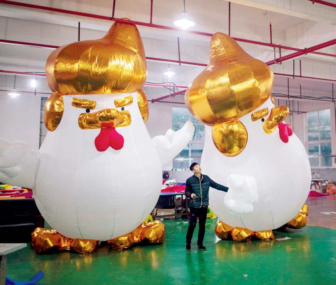 Workers inflate giant chickens resembling Donald Trump. Pic/AFP