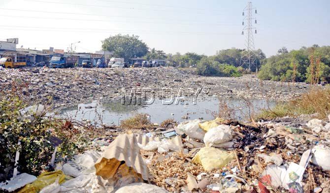 Garbage stagnates in Charkop. Residents allege that waste is seldom picked up. Pic/Sneha Kharabe