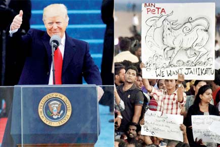 Aditya Sinha: Who will tame the bull that's Trump?