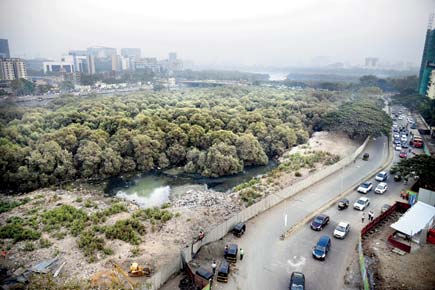 Shiv Sena chief mocks govt's approach of hacking trees to build carshed for Mumbai Metro at Aarey