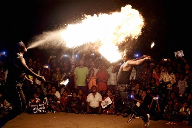 Artists performing with fire during the protest to Lift ban on jallikattu and impose ban on PETA, at Marina Beach in Chennai on Sunday. Pic/PTI