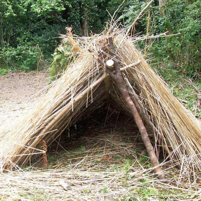 Learn how to build a basic shelter our of grass and bamboo