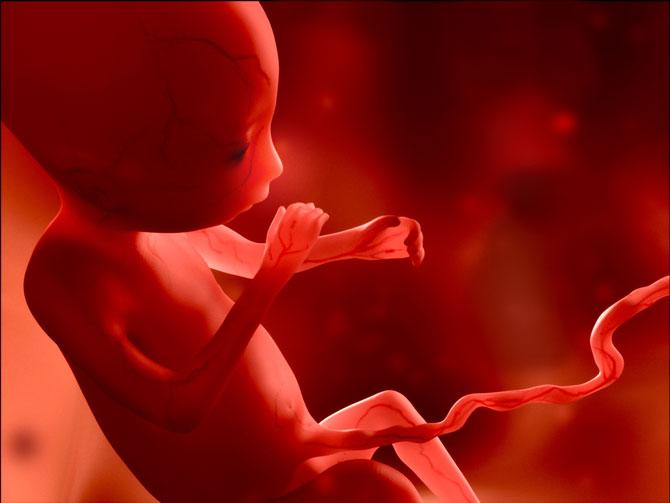 Supreme Court nod to terminate 24-week-old foetus citing medical reasons