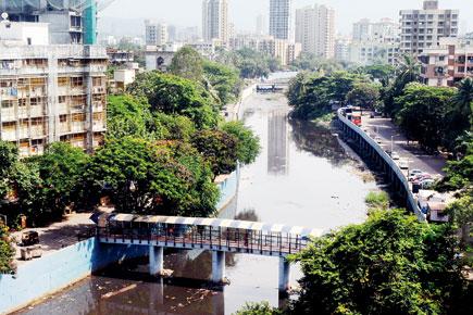 Mumbai Makeover! Soon, you could enjoy a walkway, cycle trail over Mithi River