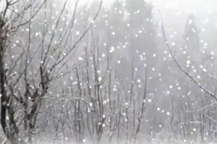 Watch Video: Kinnaur serene after fresh snowfall 