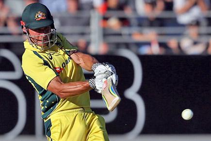 Marcus Stoinis' unbeaten 146 not enough as Australia lose to New Zealand