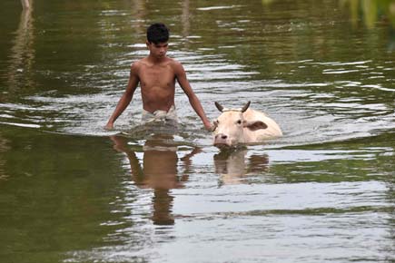 Death toll in flood-ravaged Assam touched 49