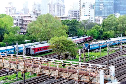 BMC didn't trim tree that collapsed, disrupting Western Railway services