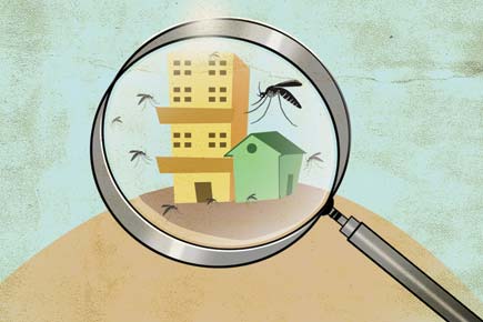 BMC inspects 58.50 lakh homes, destroys 8k mosquito breeding spots 