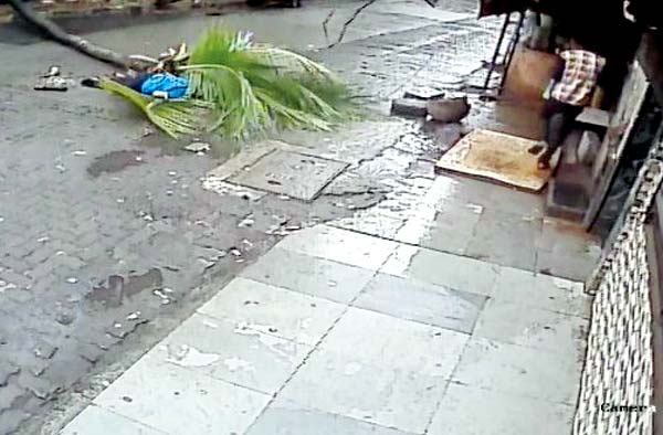 Kanchan Nath was on a morning walk when the coconut tree fell on her