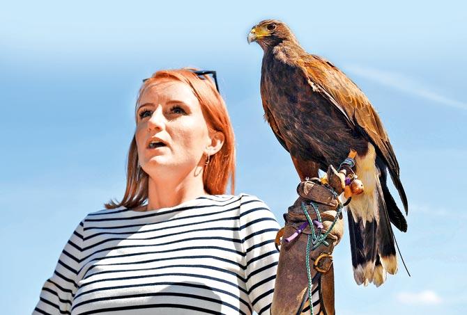 Rufus, the hawk with his handler Imogen Davis. Pic/AFP