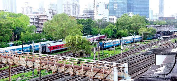 Lower Parel station is a perfect example of how trees can get too close for comfort, posing a safety risk to trains. Pic/Suresh Karkera