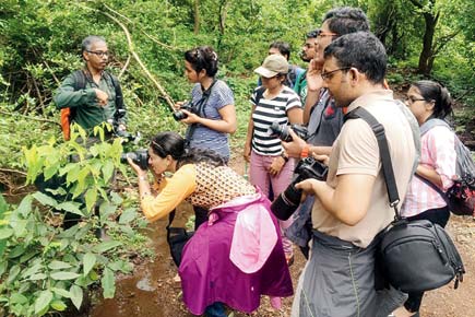 Travel: Learn as you click at Sanjay Gandhi National Park