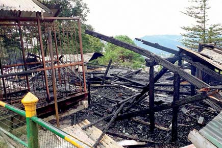 Panchayat office set ablaze, government vehicle damaged in Darjeeling