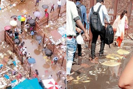 Mumbai: Working at Elphinstone Road? Gear up for the stinkiest commute