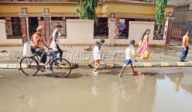 Residents are forced to wade through the stinking, filthy sewage water every day. Pics/Satej Shinde