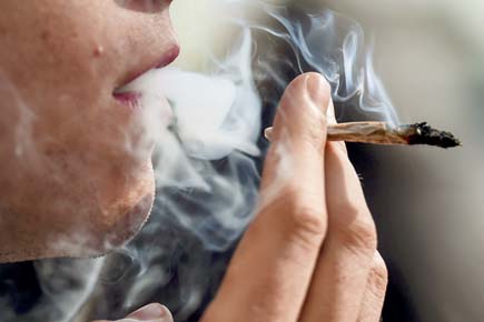 Drug peddler held with cannabis in Doda   