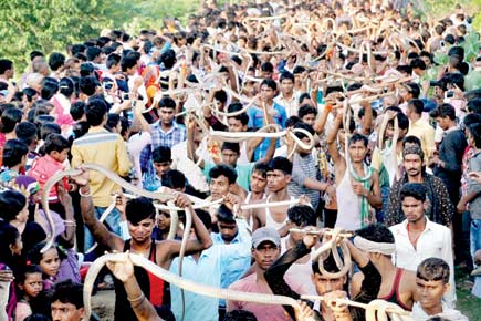 Devotees hold snakes during a procession on the eve of Sawan Amavasya in Bihar