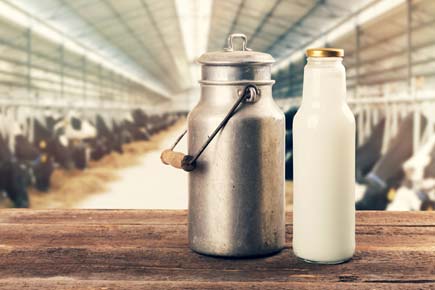 Indian Railways' milk delivery service for passengers leads to huge losses