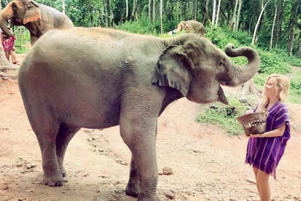 Olympic champ Tara has fun with elephants on her Thailand honeymoon