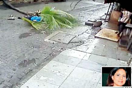 Woman crushed by tree dies, husband blames BMC for negligence