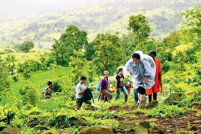 NGOs say, over the years, number of groups organising treks across the state, especially during monsoon, have increased. Representation pic